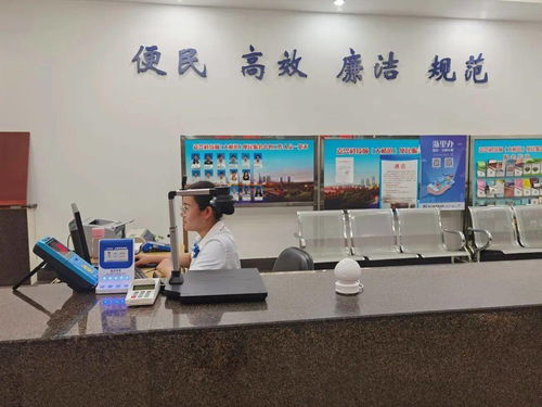 嘉興科技城大橋鎮便民服務中心啟用“一窗受理、全域通辦”公用事業服務窗口